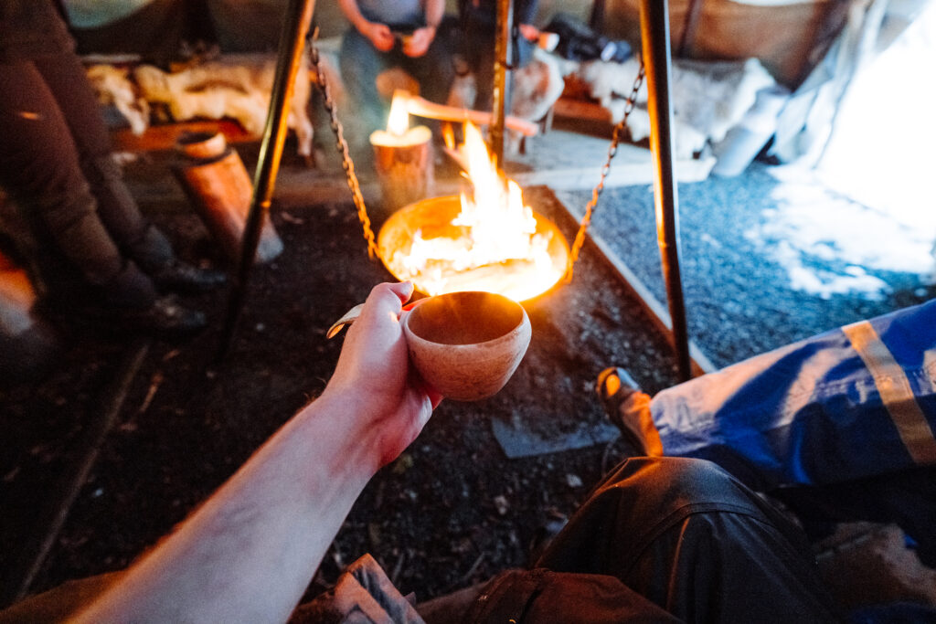 pine needle tea